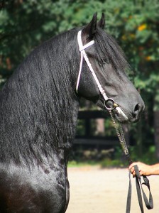Obrázok
